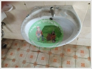 Vứt giấy vệ sinh vào thùng rác hay bồn cầu? 