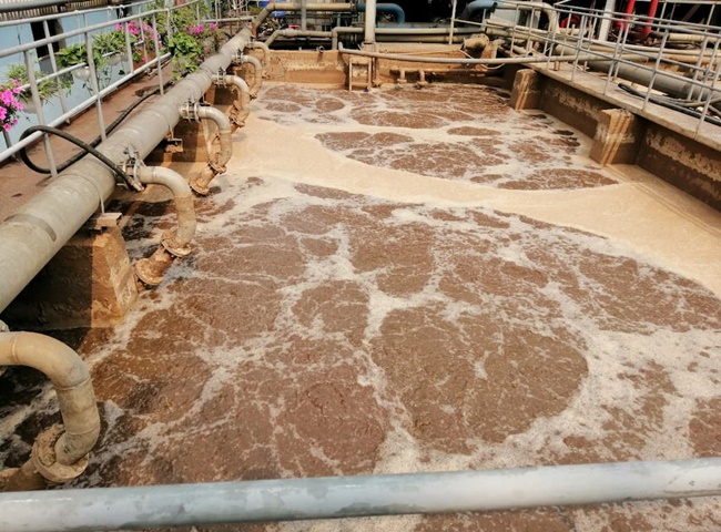 Cung cấp vận chuyển b&ugrave;n vi sinh quận 9 chất lượng