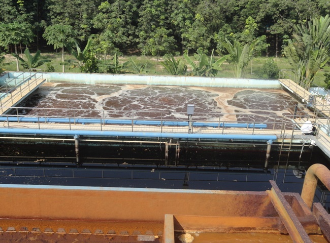 Cung cấp vận chuyển b&ugrave;n vi sinh quận 9 uy t&iacute;n