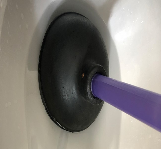 C&acirc;y thụt bồn cầu